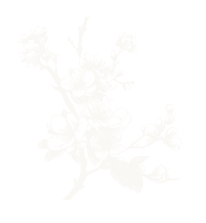almedro-en-flor